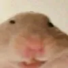 the.korobych