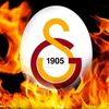 mahsun.yalcin4