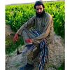 habib.ur.rehman21