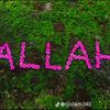 rehana.parvin28