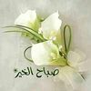 redasaad811