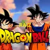 dragonball.raiz