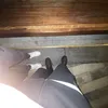drypswldn
