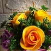 iou_713