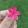 alikhudhair76