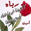 user18611960225120
