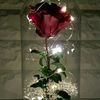 aysha.noor83