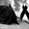 miguel.paucar3