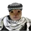 mon_ey127