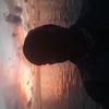 khoorsheed.ismail