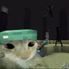 fynn_hoho