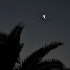 malak.sobhy74