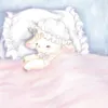 .b95l