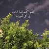 h_hamoud07