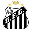 santosfc113