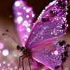 delight1234567899