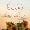 noha.hamdy89