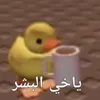 toto151617