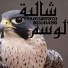 alwaaasm