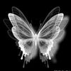 silpiww0123_