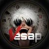 vesapofficial