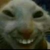 wkejdoskqnsks