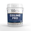 Tebipaints