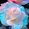 md.delwoar.hossai