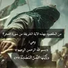 ali307728