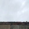 rujubapuk03