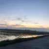 thichlamkol