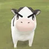 w_.haalii