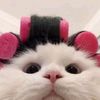 thisaofrose