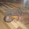 user59408656608598
