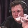 Daily Podcasts Clips