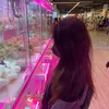 lekhanhlinh14