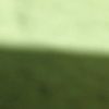anmli_62