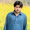 mian.mohsin804