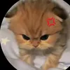 scprpioly