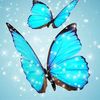 drsajidkhan7060