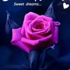 mohammed.gias.udd65