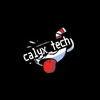 calyx_tech