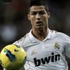 goat0147684