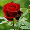 user48039711788174