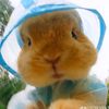 fatimah.arni