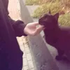 oii0ll