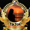 elechames2