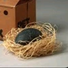 pet_rock8