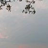 _softstrowberrie