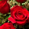 love668653
